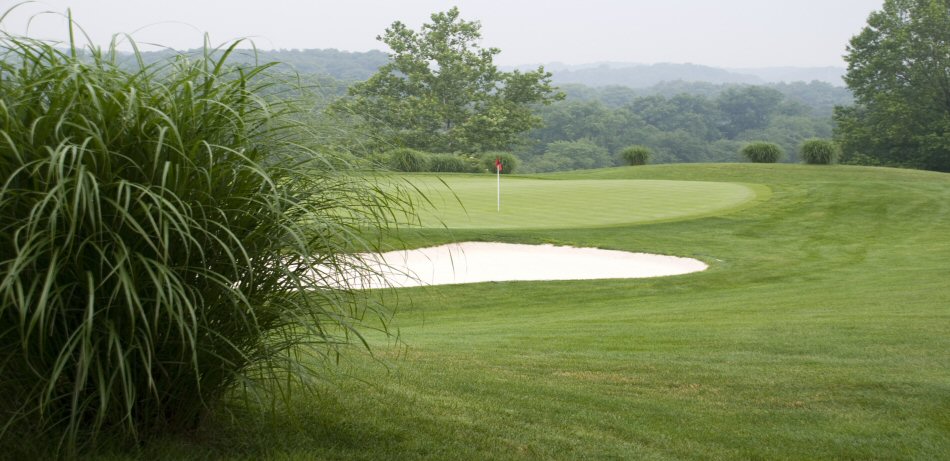 Tall Grass on Course